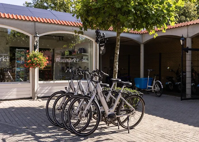 In Brabant With Hot Tub * Heikant